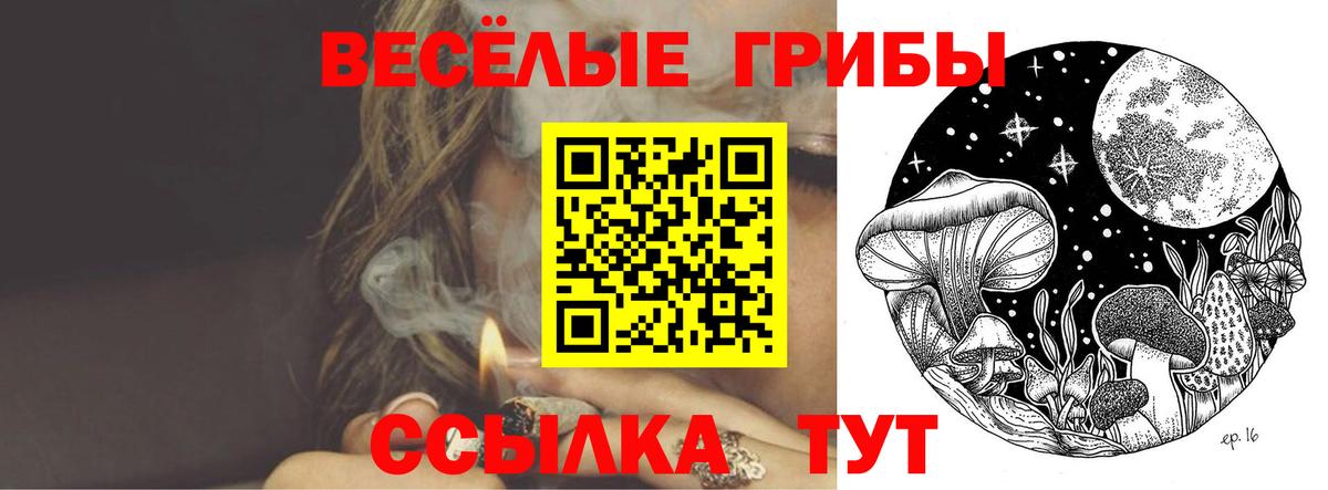 Псилоцибиновые грибы мухоморы Сегежа
